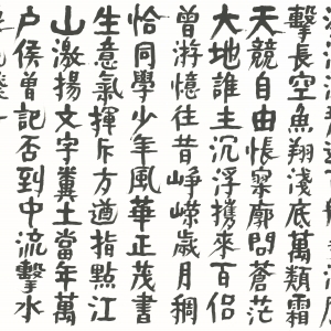 楷书毛泽东《沁园春·长沙》