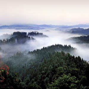 全面封山育林的湖南省常德市花岩溪风景区