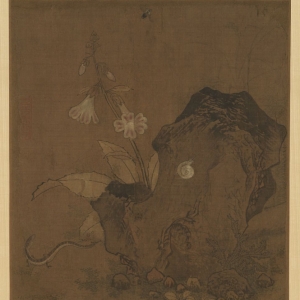 宋 无款 花石草虫图页