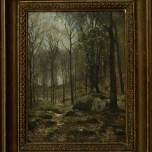 Forest in Early Spring